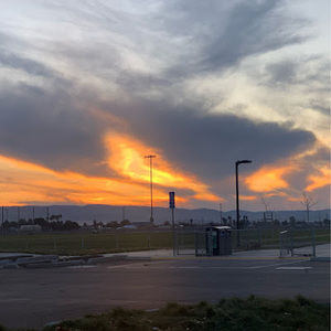 Meet your Posher, Kylie